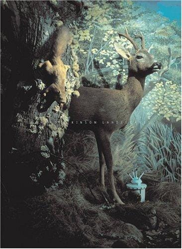 Conrad Atkinson landscapes