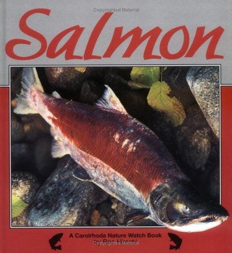 Salmon (Nature Watch)