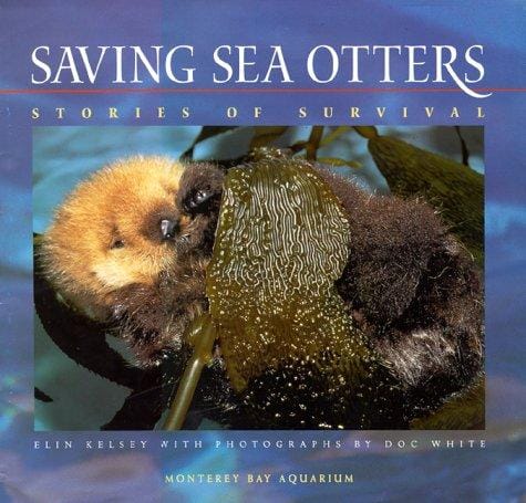 Saving sea otters