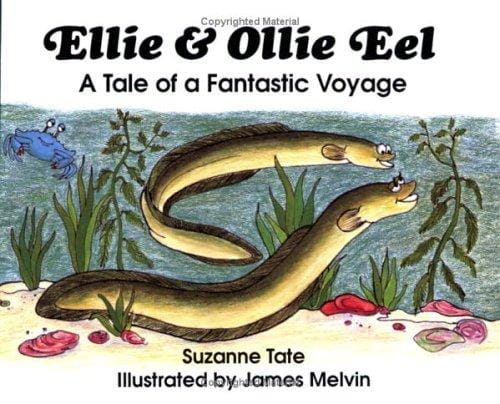 Ellie & Ollie eel