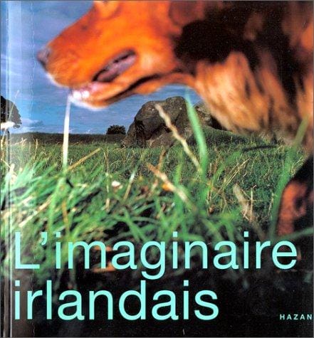L'imaginaire irlandais