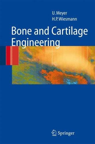 Bone and cartilage engineering
