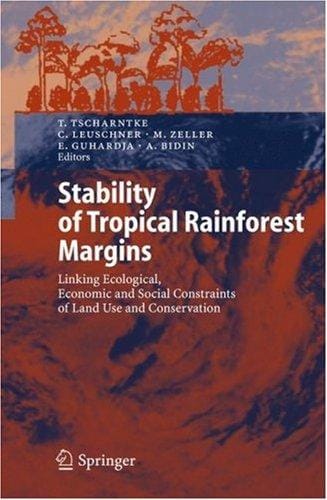 Stability of tropical rainforest margins