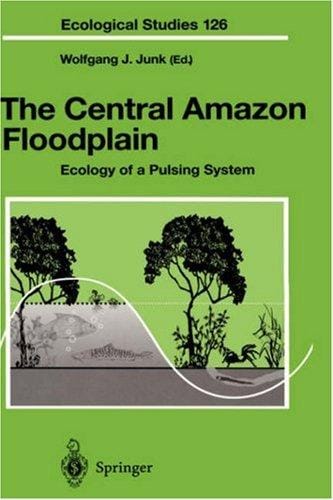 The central Amazon floodplain
