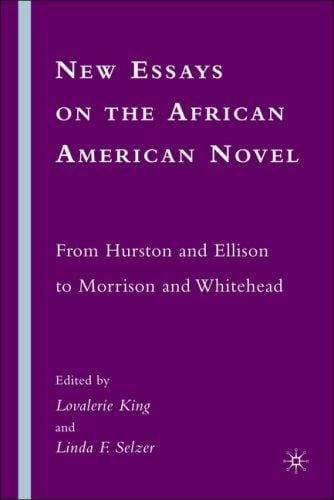 New essays on the African American novel