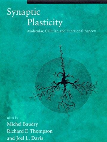 Synaptic plasticity