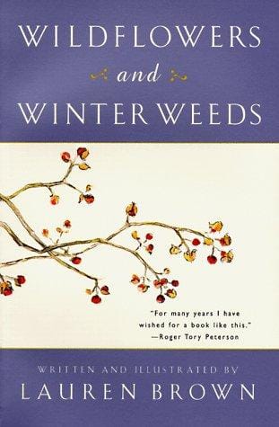 Wildflowers and Winter Weeds