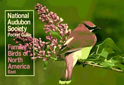 Familiar birds of North America