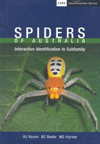 Spiders of Australia