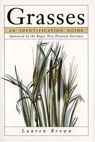 Grasses, an identification guide