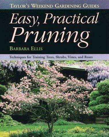 Easy practical pruning