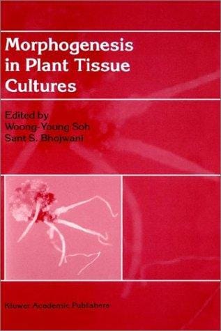 Morphogenesis in plant tissue cultures