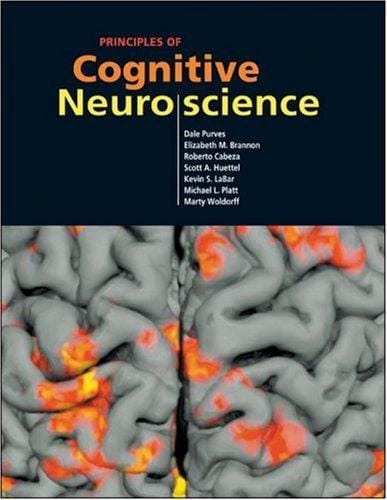 Principles of cognitive neuroscience