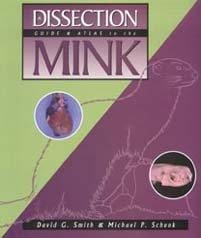 A dissection guide and atlas to the mink