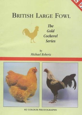 British large fowl