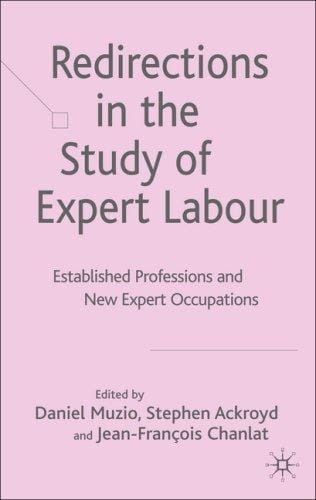Redirections in the study of expert labour