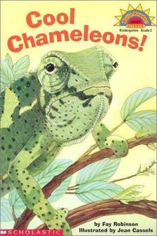 Cool Chameleons!