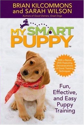 My smart puppy
