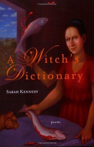 A Witch's Dictionary
