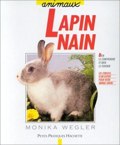 Le lapin nain