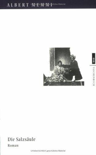 Die Salzsäule. Biographischer Roman