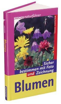 Wildblumen. Extra