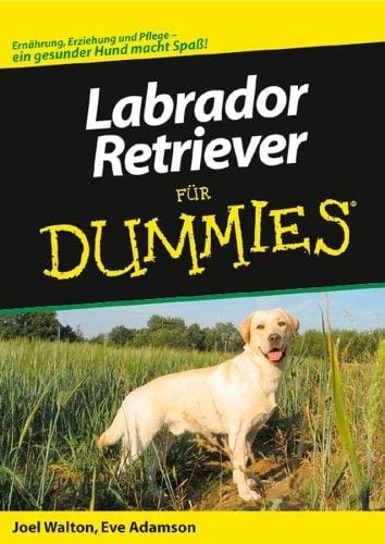 Labrador-Retriever Für Dummies