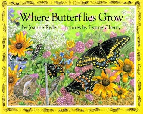 Where Butterflies Grow