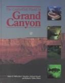 The controlled flood in Grand Canyon
