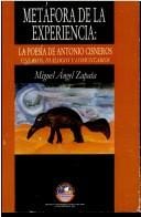 Metáfora de la experiencia