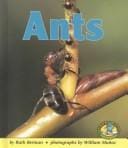 Ants