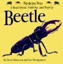 Beetle