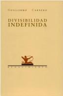 Divisibilidad indefinida