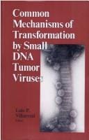 Common mechanisms of transformation by small DNA tumor viruses