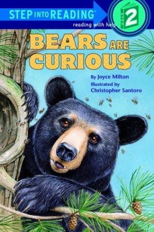 Bears are curious