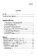 Ñi-hoṅ skad yig tshad ldan rab gsal me loṅ