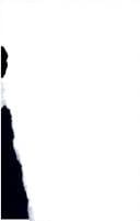 Peace, security & the United Nations