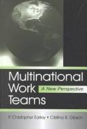 Multinational Work Teams