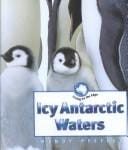 Icy Antarctic waters