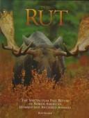 The Rut