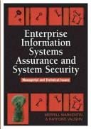 Enterprise information systems assurance and system security