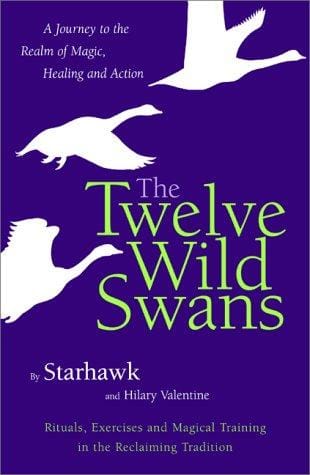 The twelve wild swans