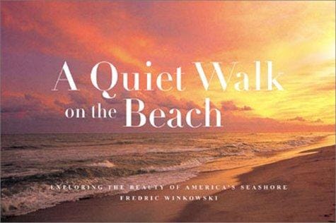 A quiet walk on the beach