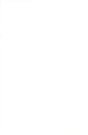 Elizabethan and Other Essays