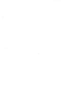 Zhuangzi zong lun ji fen pian ping zhu