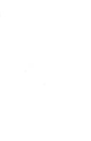 La santé de Louis XIV