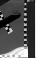 The reauthorization of the Department of Justice