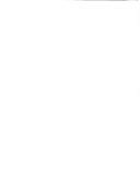 Supplement to the report on human rights in El Salvador