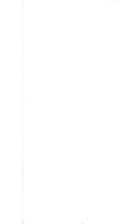 Zeremonialwissenschaft im Fürstenstaat