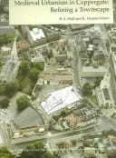 Medieval urbanism in Coppergate